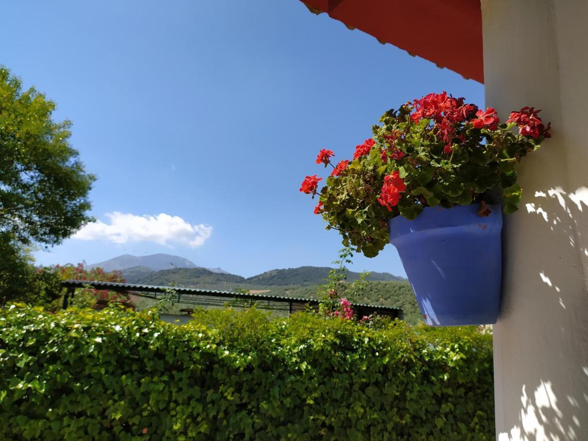 Villa Frasquita Priego de Córdoba Exteriér fotografie