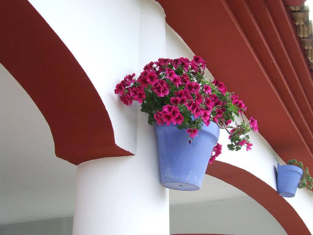 Villa Frasquita Priego de Córdoba Exteriér fotografie
